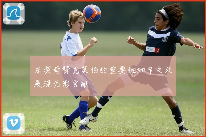 东契奇赞克莱伯的重要性细节之处展现无形贡献