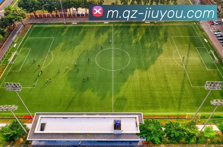 九游体育APP 封面图